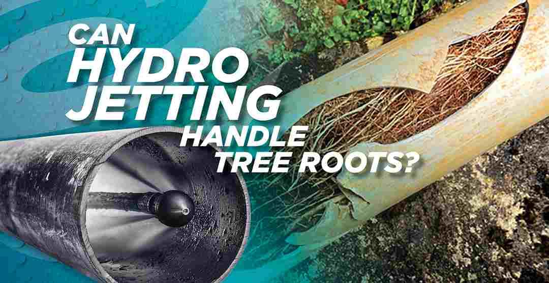 Hydro Jetting for Tree Root Intrusions How It Works